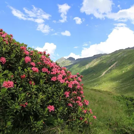 Alp-aren - Silvretta Card Premium Betrieb Galtür