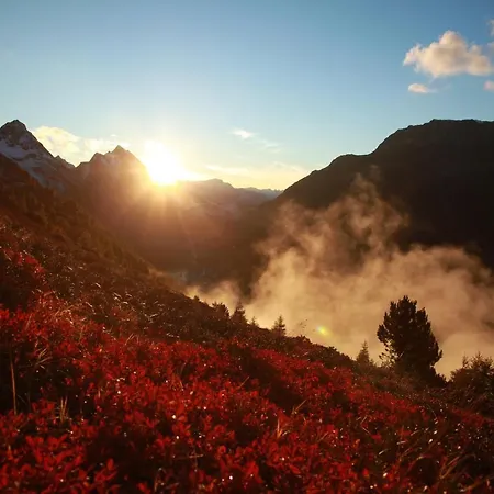 Alp-aren - Silvretta Card Premium Betrieb *