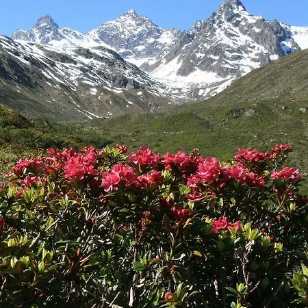 Alp-aren - Silvretta Card Premium Betrieb * 갈투르