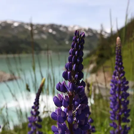 Alp-aren - Silvretta Card Premium Betrieb Гальтюр